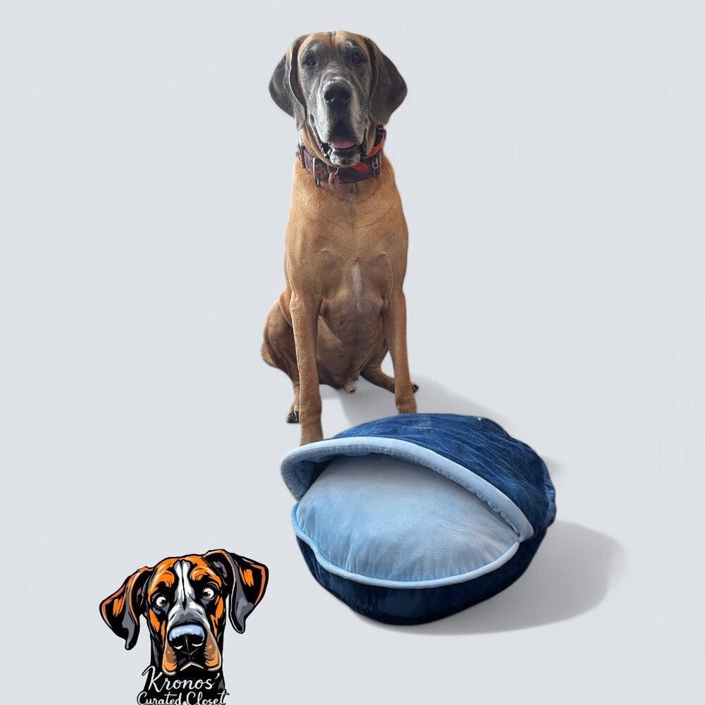 ED Ellen DeGeneres Pet Bed 22x7 Small Dog Cat Cuddler PetSmart